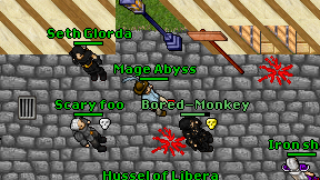 Mage Abyss on screen