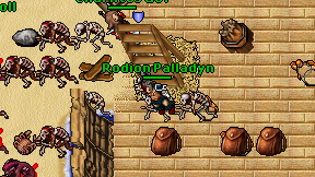 Rodion Palladyn on screen