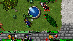 Fittim on screen