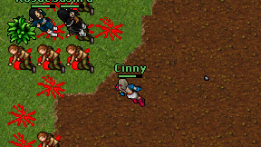 Cinny on screen