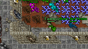 Tammuz on screen
