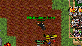 Mickedenstore on screen
