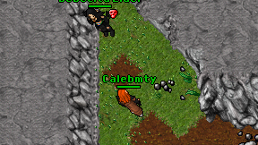 Calebmty on screen