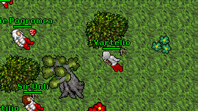 Vartelio on screen