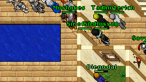 Diego dal on screen