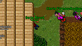 Seja Airot on screen