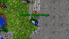 Master Silent Mage on screen