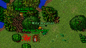 Wily'Avatar on screen