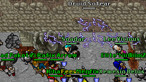 Druid Nofear on screen
