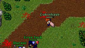 Cukinhavr on screen