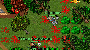 Kindoms on screen