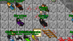 Goust on screen