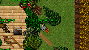 Chala'ca on screen
