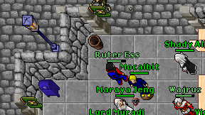 Ruter Ess on screen