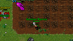 Senior Burns on screen