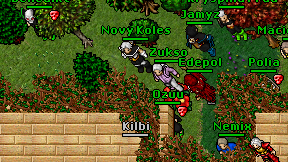 Edepol on screen