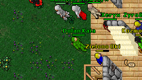 Dolan Kaia on screen