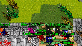 Mortal Elite on screen