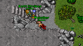 Waioller on screen
