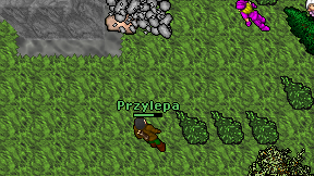 Przylepa on screen