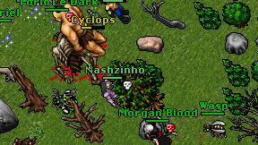 Nashzinho on screen