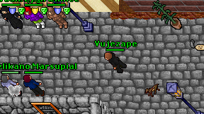 Vujezape on screen
