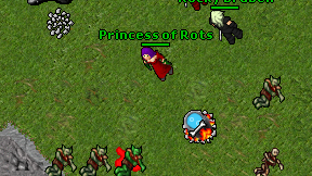 Princess of Rots on screen