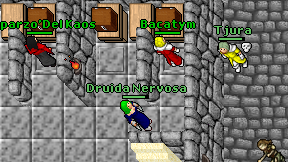 Druida Nervosa on screen