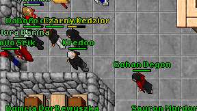 Kredoo on screen