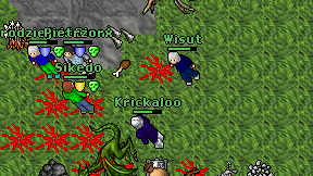 Wisut on screen