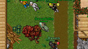 Ossafidia on screen