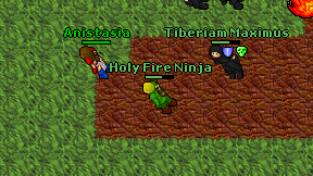 Holy Fire Ninja on screen