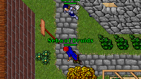 Seba of Druids on screen