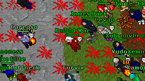 Knight War on screen