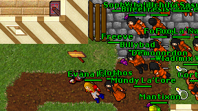 Freeve on screen
