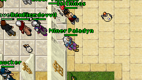 Miner Paladyn on screen