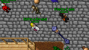 Elfira Druid on screen