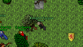 Knight Fujov on screen