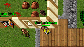 Sir Luisinho on screen