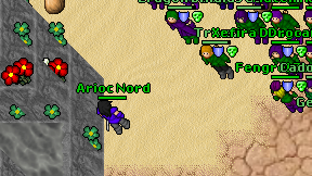 Arioc Nord on screen