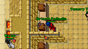 Drizzit Palladin on screen