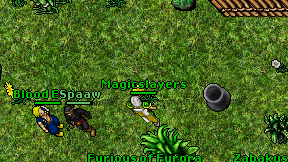 Magicslayers on screen