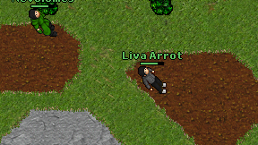 Liva Arrot on screen
