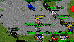 Knopica on screen