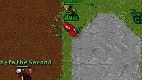 Quzi on screen