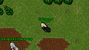 Efincef on screen
