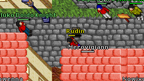 Rudin on screen