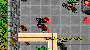 Dzevo on screen