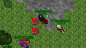Moluhife on screen