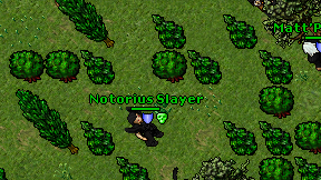 Notorius Slayer on screen